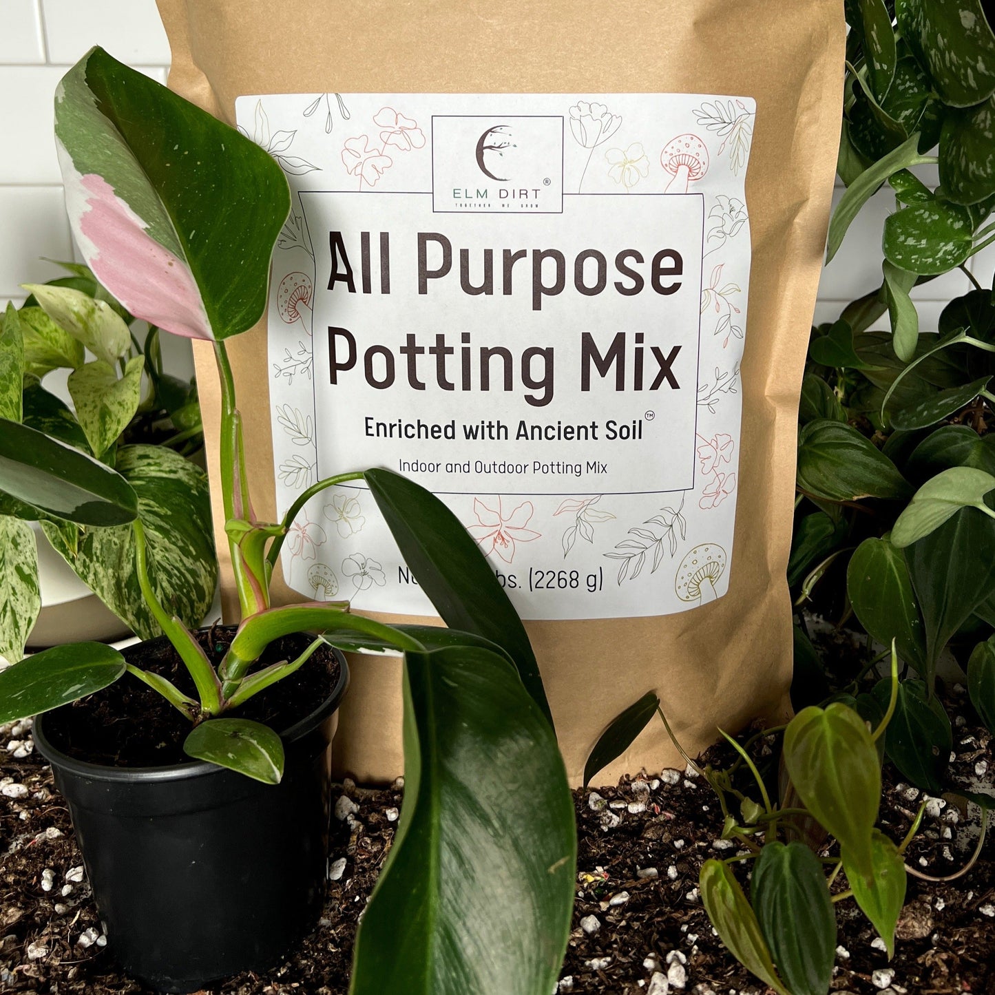 All-Purpose Soil Mix