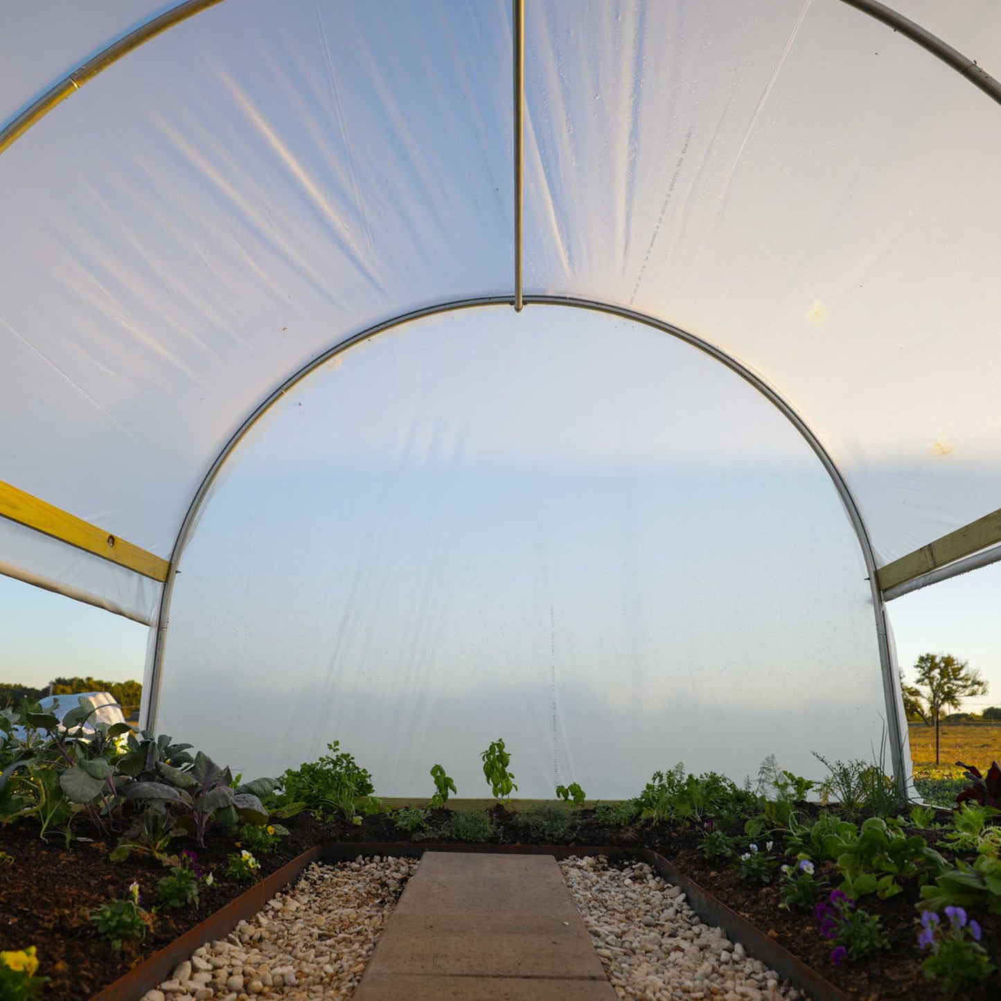 Hobby Greenhouse Kit