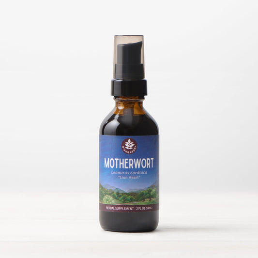 Motherwort