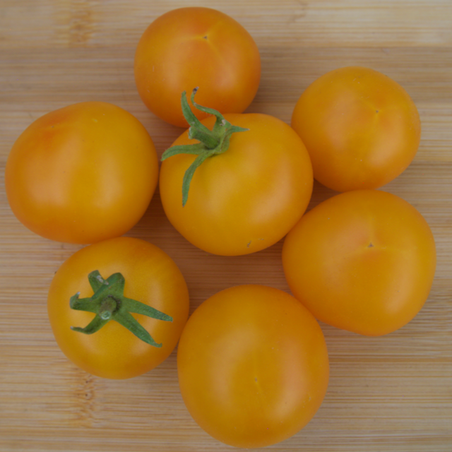 Gold Nugget Tomato