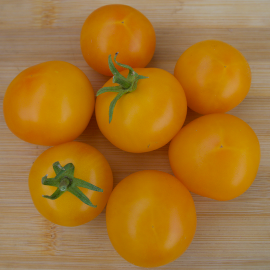 Gold Nugget Tomato