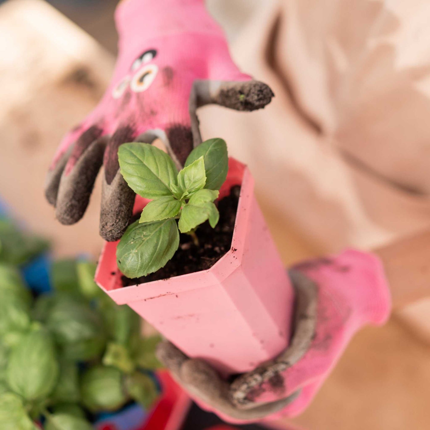 3.3" Heavy Duty Seed Starting Pots