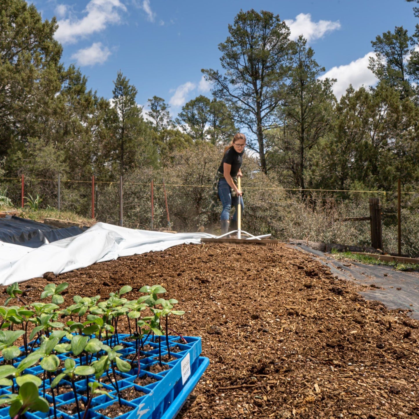 Silage Tarp - 6 mil Reversible Black & White