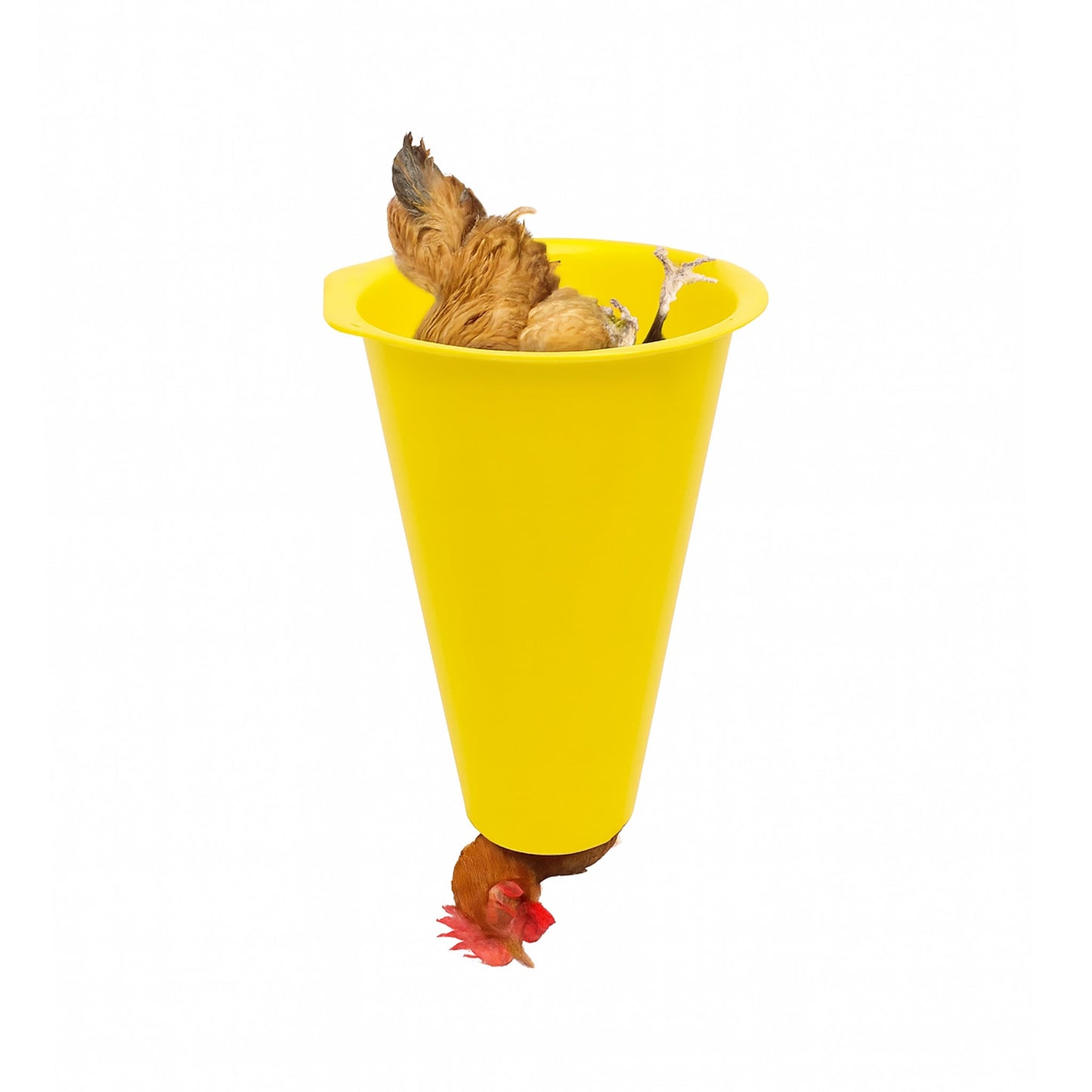 Processing Cone - Chicken