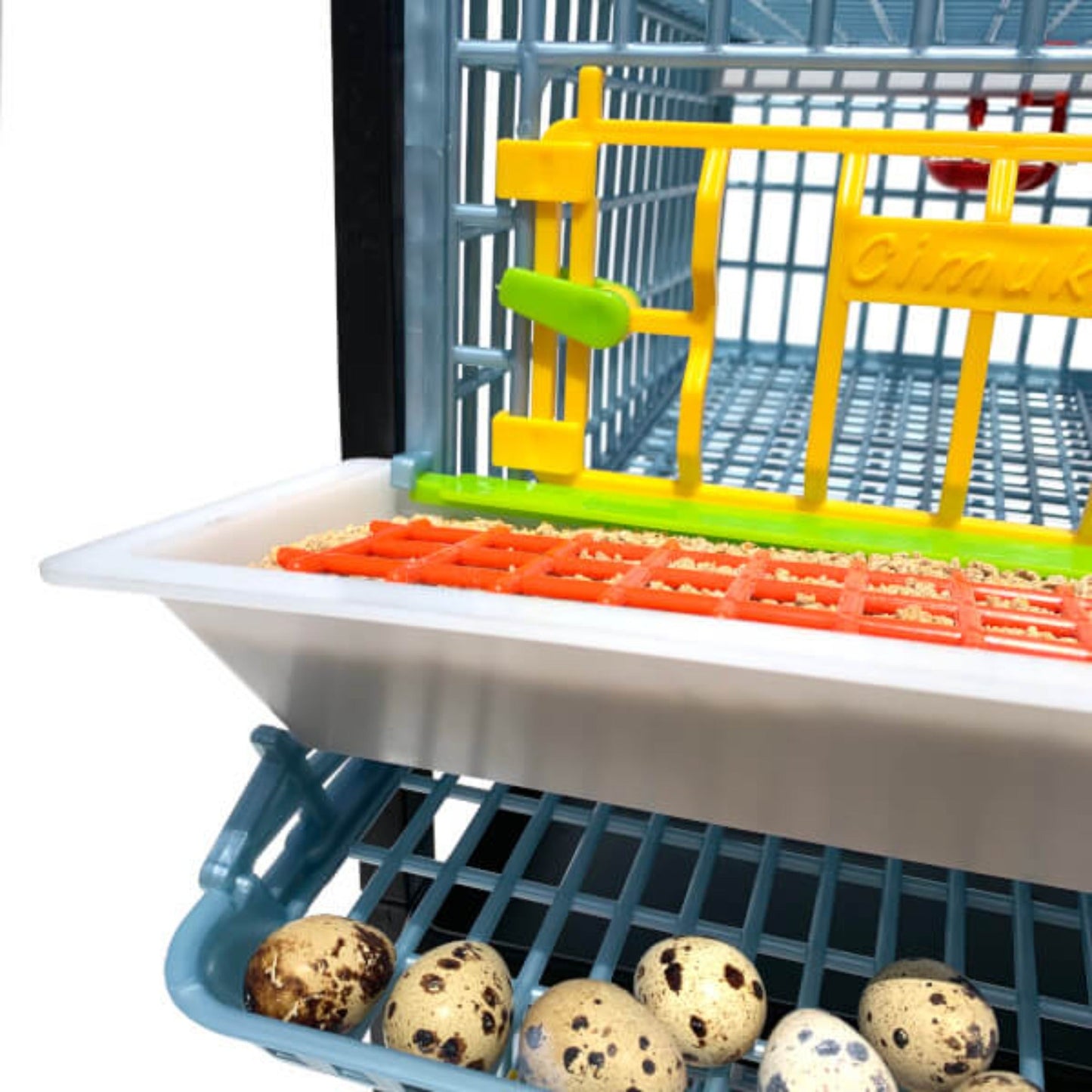 Quail Cage - 1 Layer