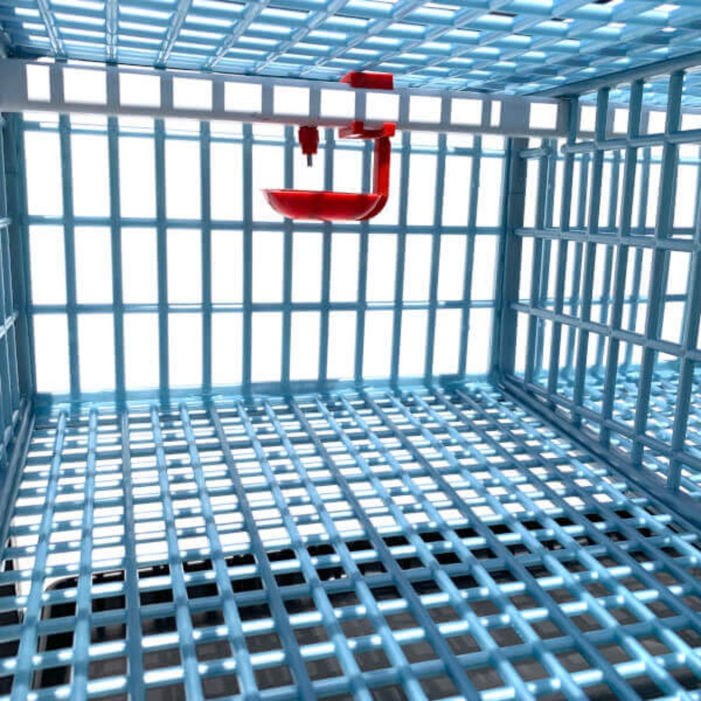 Quail Cage - 3 Layer