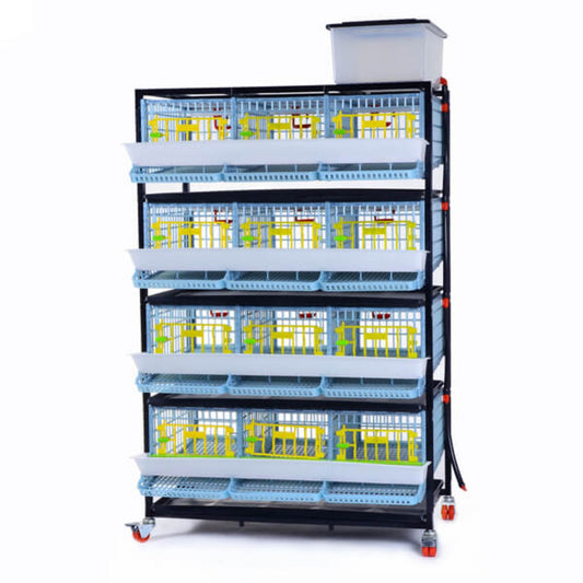Quail Cage - 4 Layer