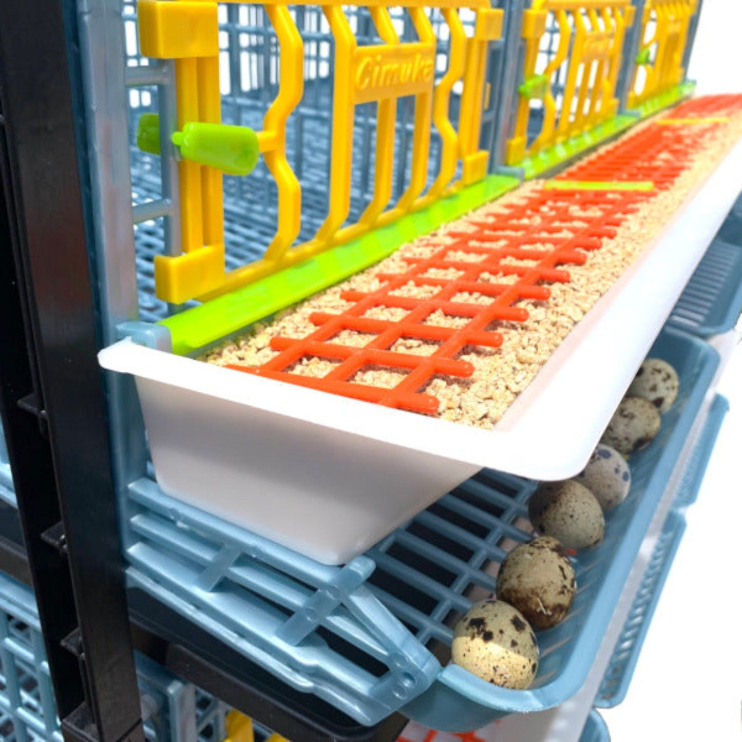 Quail Cage - 4 Layer