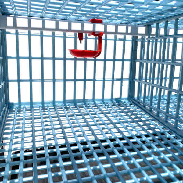 Quail Cage - Double Layer Addition
