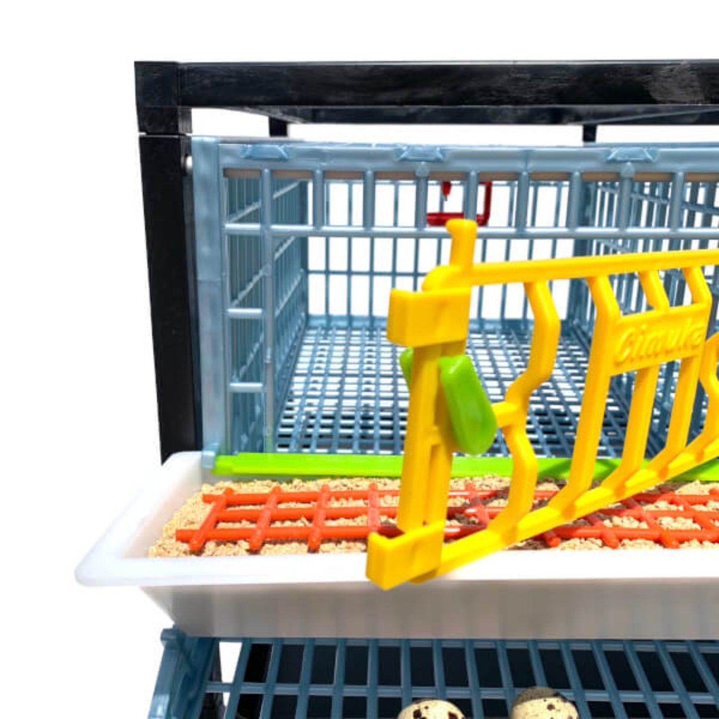 Quail Cage - Layer Addition
