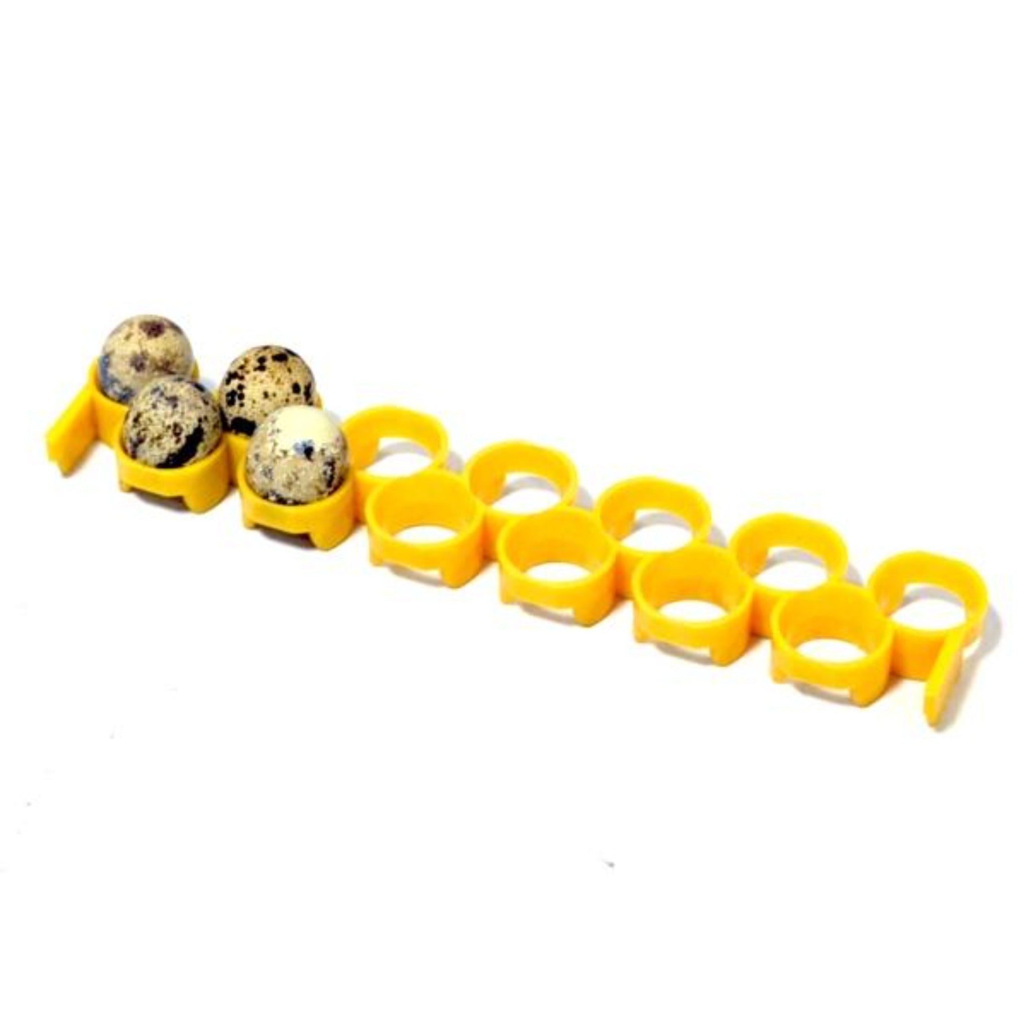 Conturn Quail Egg Rack - Attaches to Conturn Egg Setter – Grit