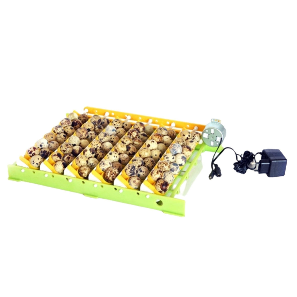 Conturn Quail Egg Rack - Attaches to Conturn Egg Setter – Grit