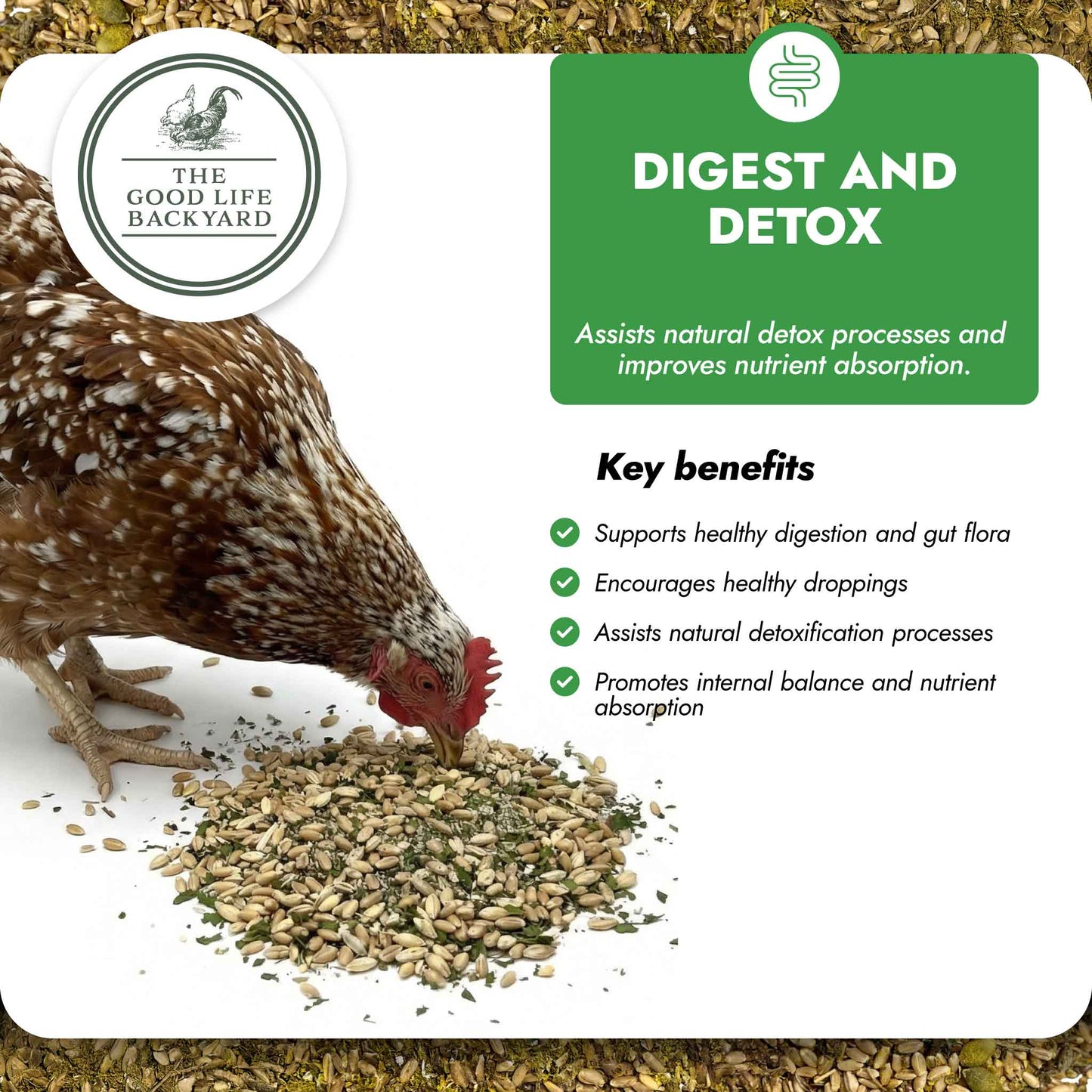 Digest & Detox - Gut Health Blend