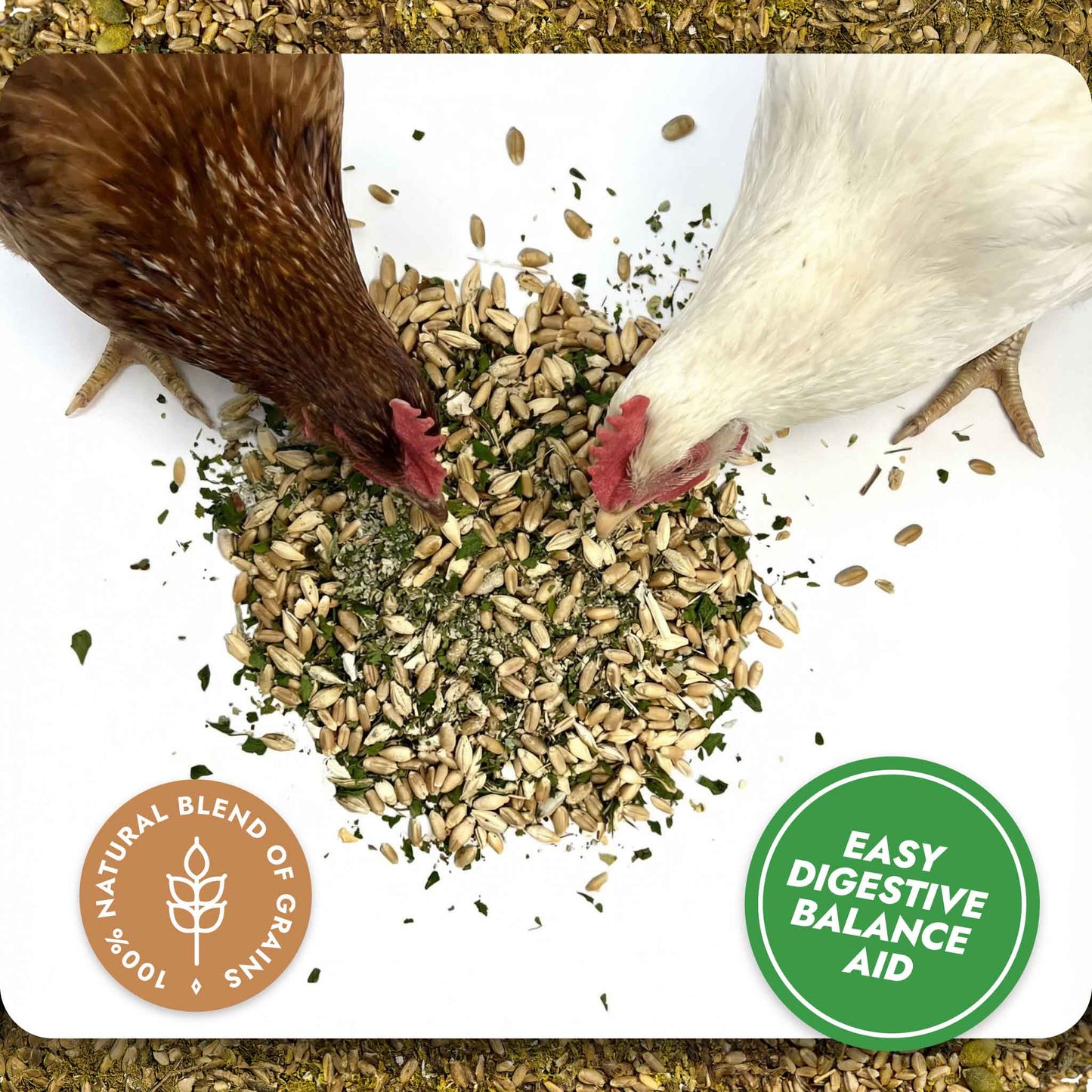 Digest & Detox - Gut Health Blend