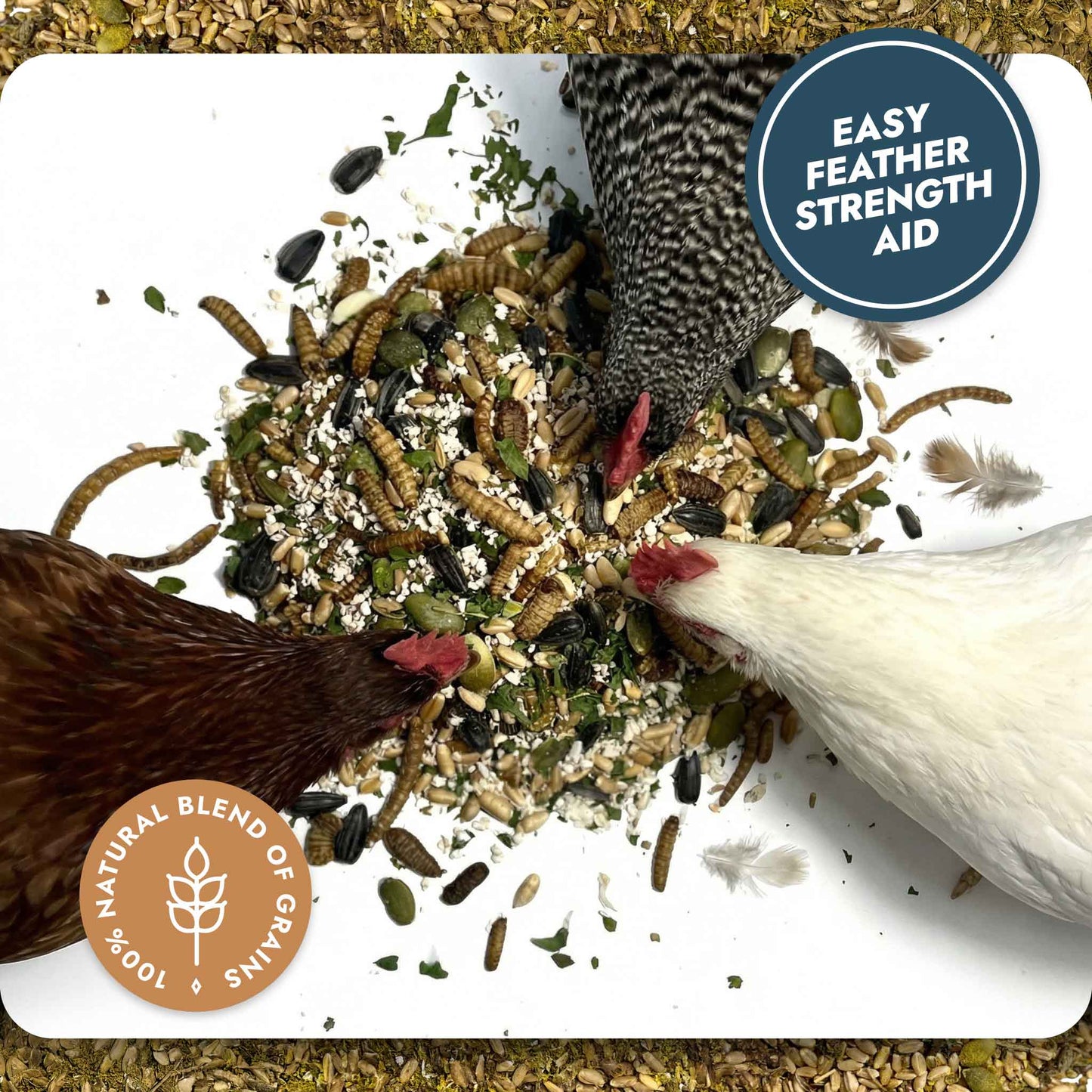Feather and Shell - Calci-Protein Blend