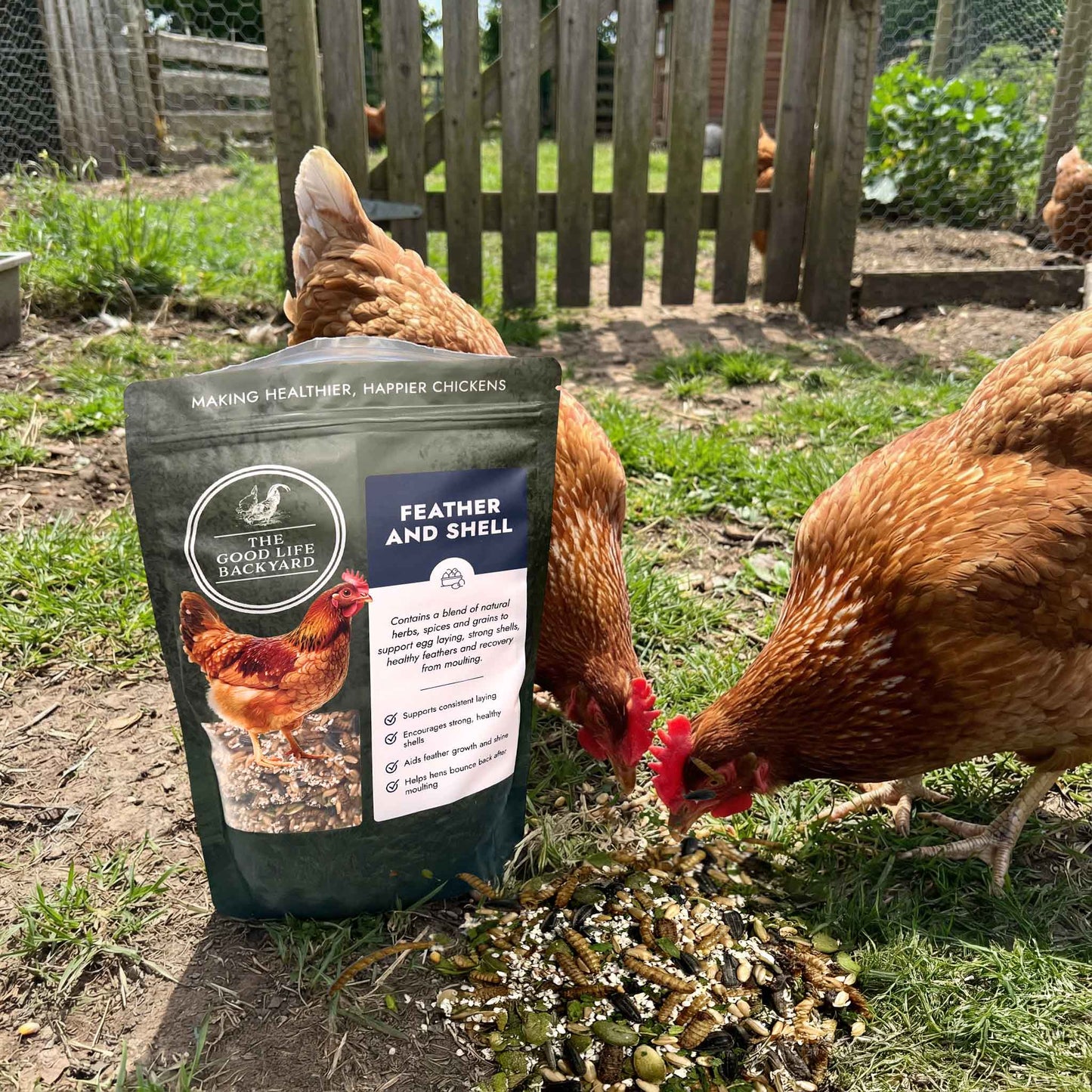 Feather and Shell - Calci-Protein Blend
