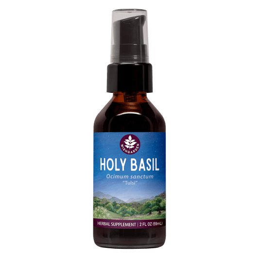 Holy Basil