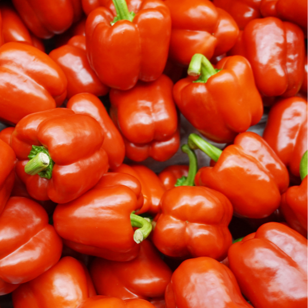 California Wonder Bell Pepper