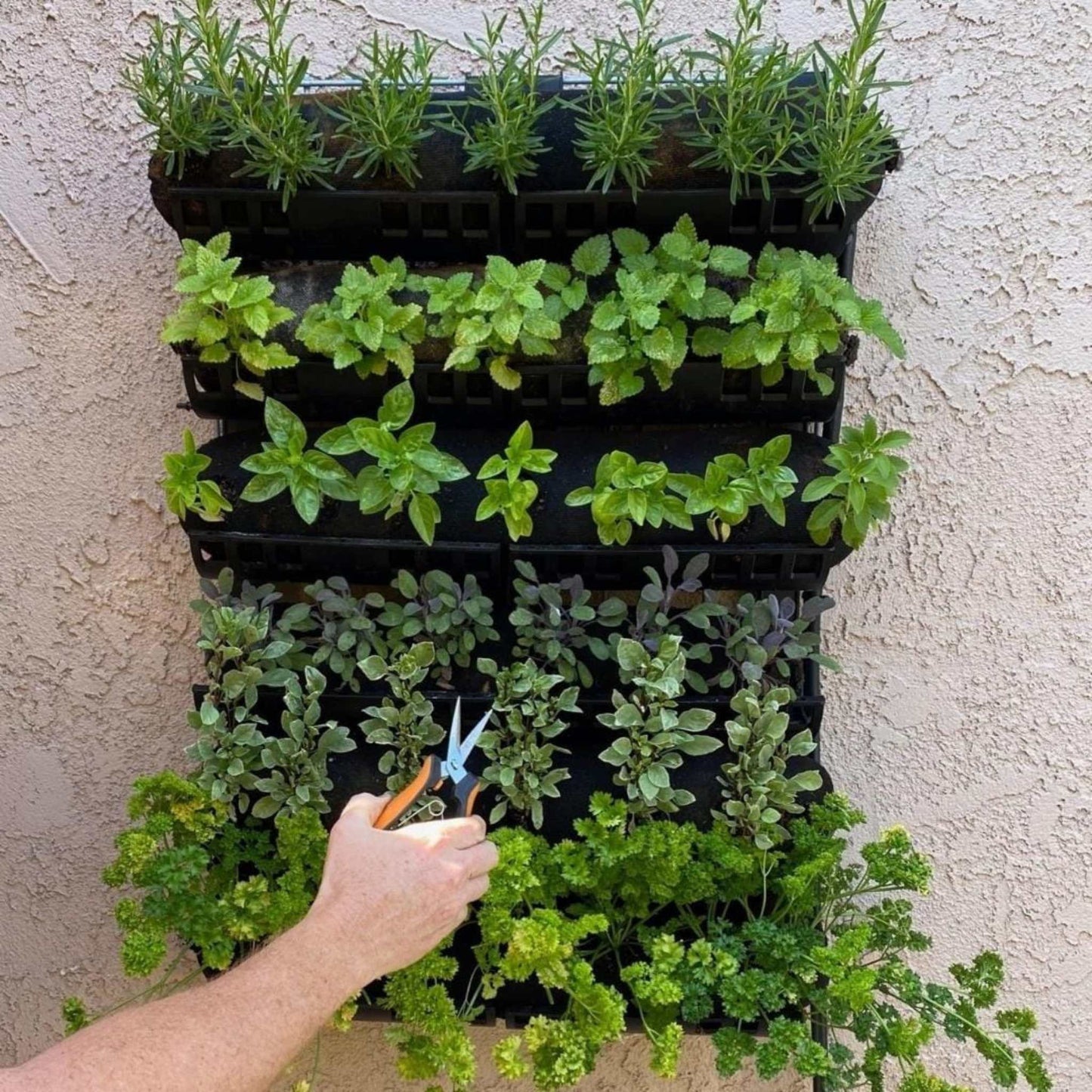 Varden™ Kitchen Garden