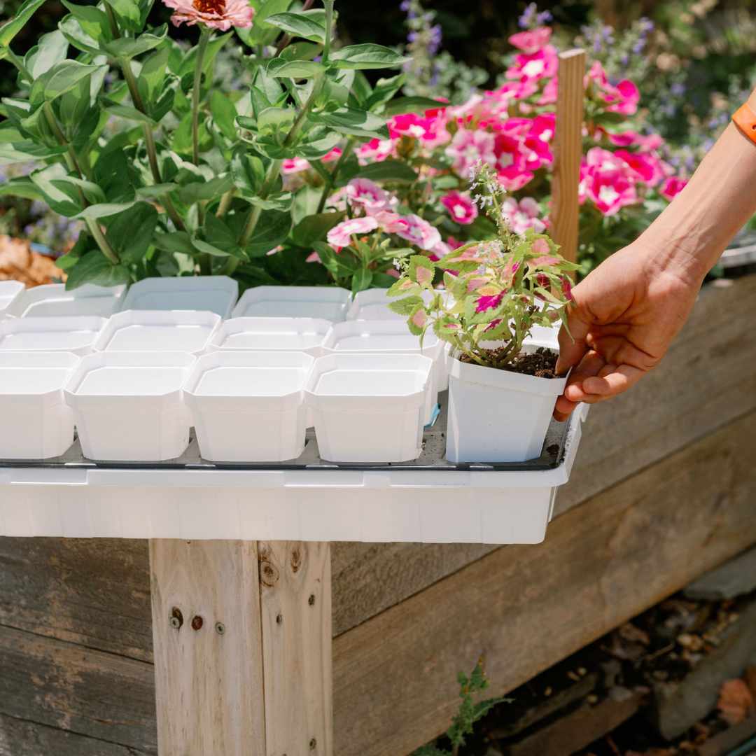 grit for plant pots 3.3" Heavy Duty Seed Starting Pots with Inserts – Grit