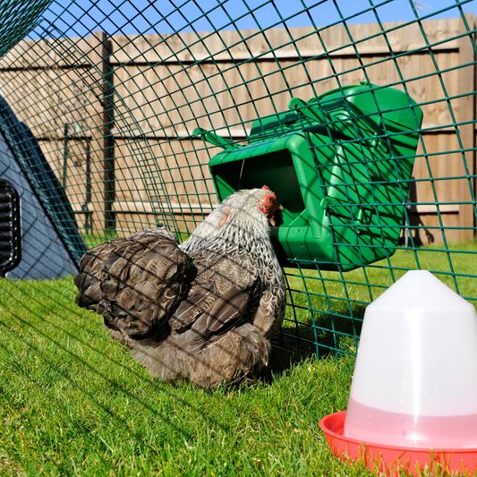 Wise Mountable Cage Feeder - 11 Lbs. Poultry & Game Feeder