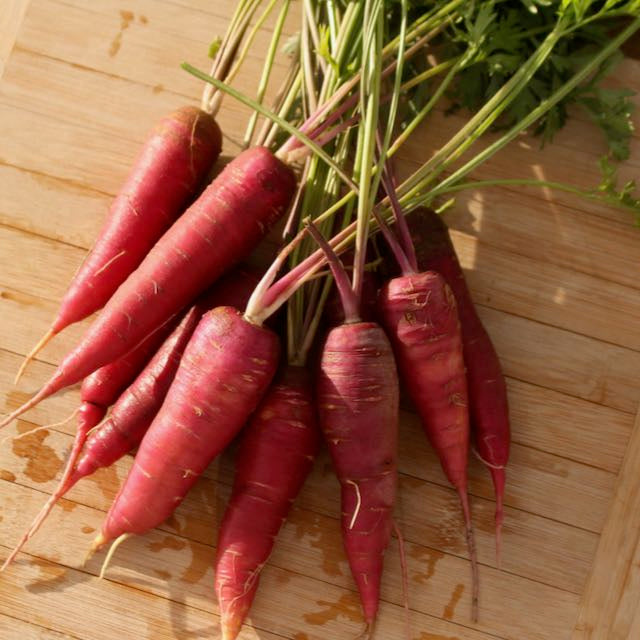 Dragon Carrot