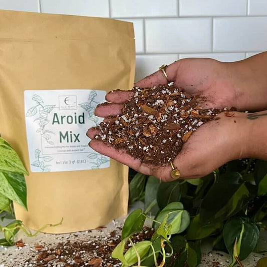 Premium Aroid Mix - Give Your Tropical Plants What They Crave