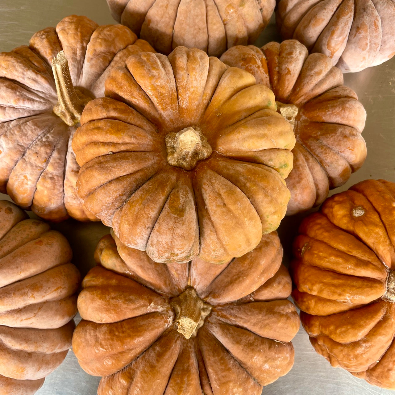 Black Futsu Squash