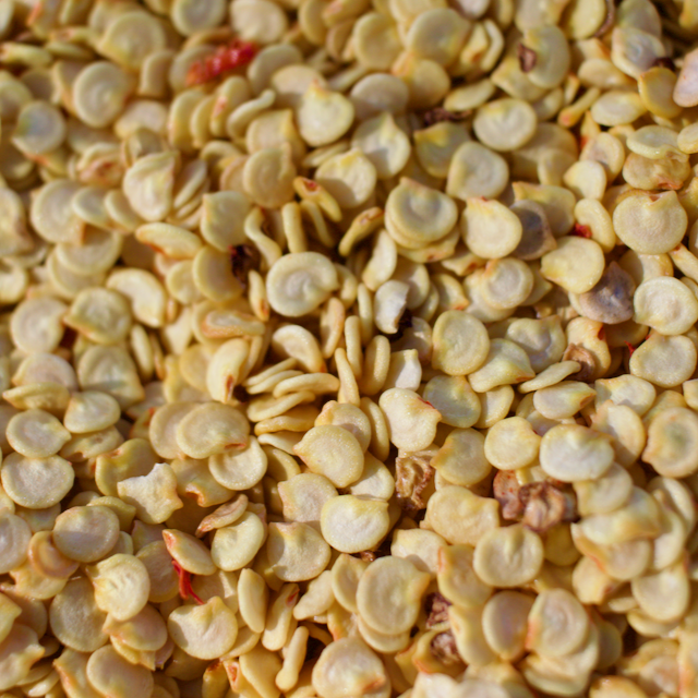 Czech Black Pepper