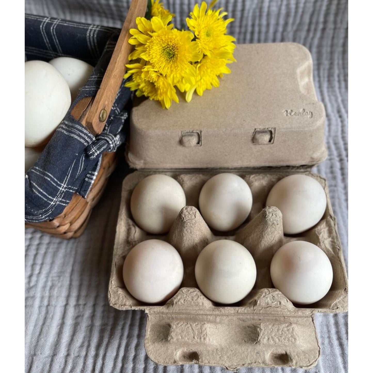 Henlay Duck Egg Cartons — Holds Half Dozen Jumbo Eggs- Blank Flat Top, 2 colors, 20 or 100