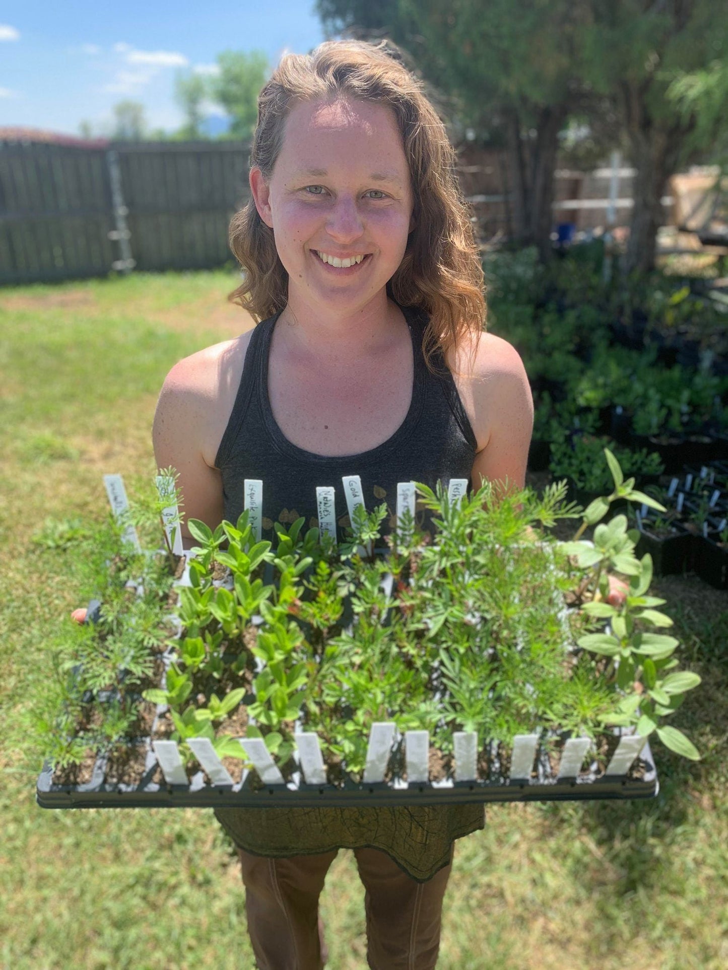 Homestead Seed CSA Share - Bulk Quantities + Over 50 Varieites Curated for Your Area!