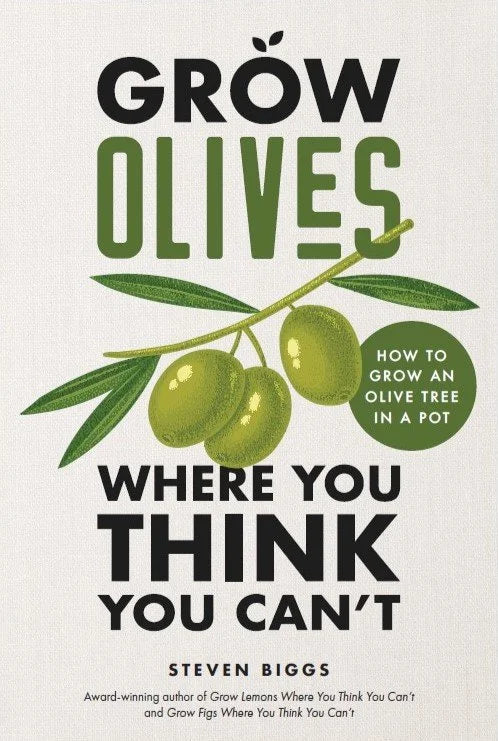 Grow Olives Where You Think You Can't