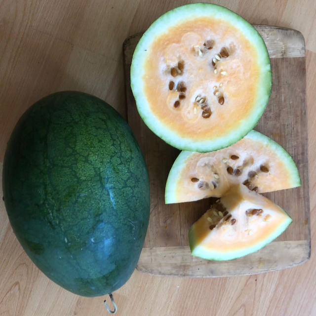 Small Seed CSA Share - 25 Varieties Curated for Your Area!