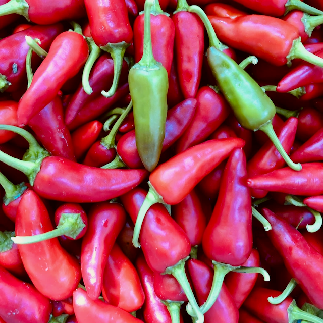Thai Giant Pepper