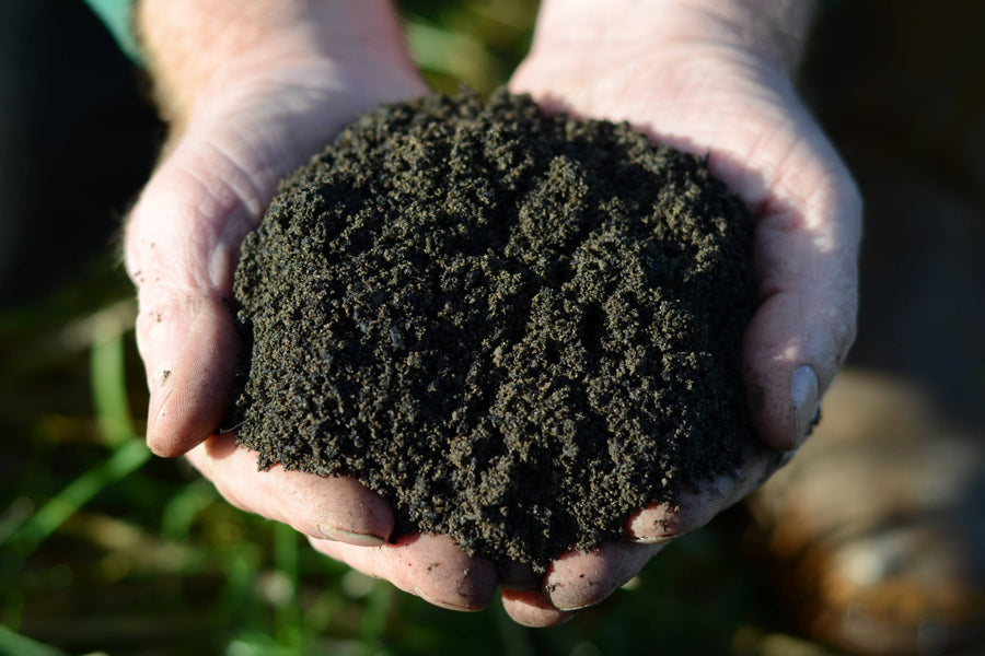 Certified Organic Worm Castings