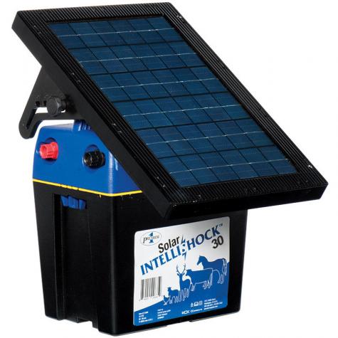 Solar Intellishock Energizer