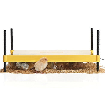 ECOGLOW SAFETY 2000 CHICK BROODER