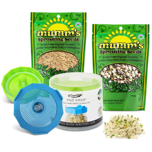 BASIC BEAN SPROUTING SET