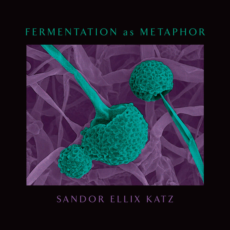 FERMENTATION AS METAPHOR