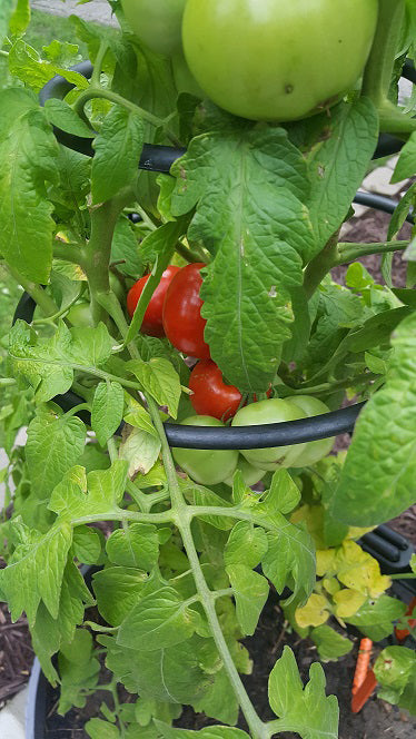 EZ STEP GARDENER'S SPECIAL BONUS PACK, MIDNIGHT BLACK