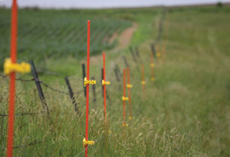EZ STEP-IN POSTS, SUNSET ORANGE