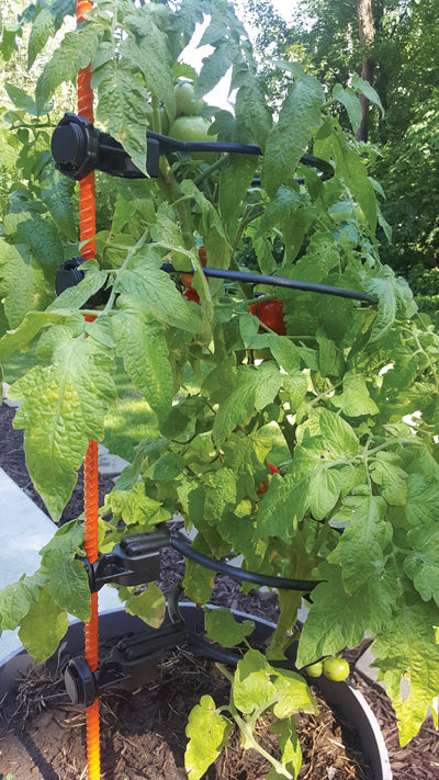 EZ STEP GARDENER'S SPECIAL BONUS PACK, SUNSET ORANGE