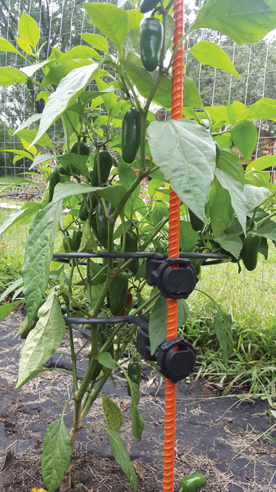 EZ STEP GARDENER'S SPECIAL BONUS PACK, SUNSET ORANGE