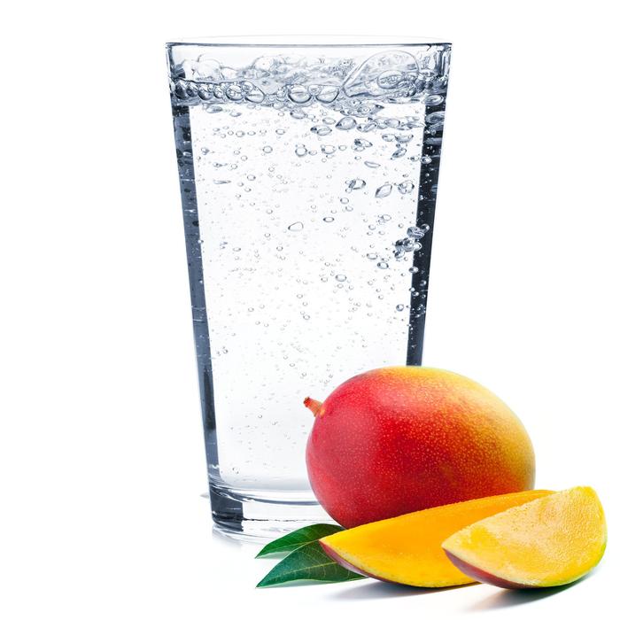 MANGO HARD SELTZER RECIPE KIT