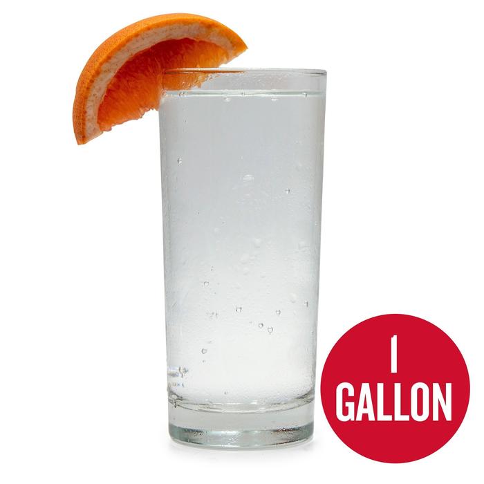 RUBY RED GRAPEFRUIT HARD SELTZER - 1 GALLON RECIPE KIT