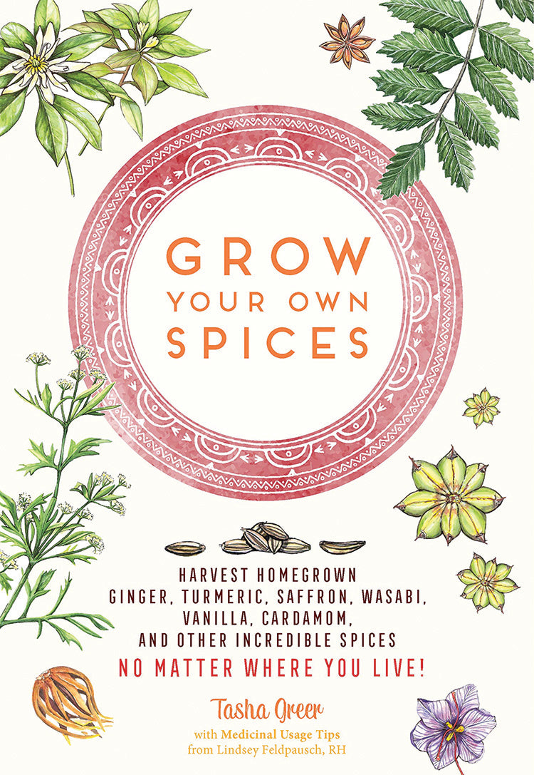 GROW YOUR OWN SPICES