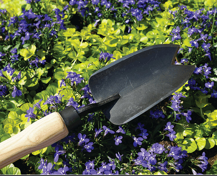 TWO-POINT LARGE TROWEL