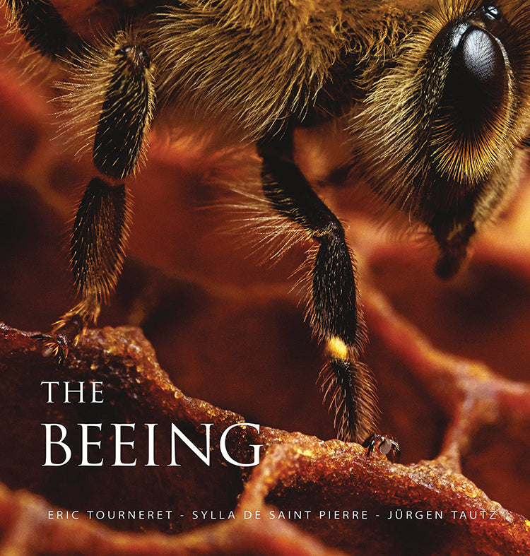 THE BEEING: LIFE INSIDE A HONEYBEE COLONY