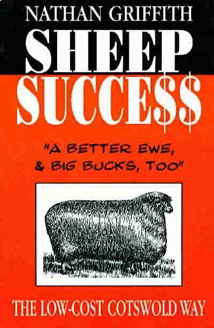 SHEEP SUCCESS