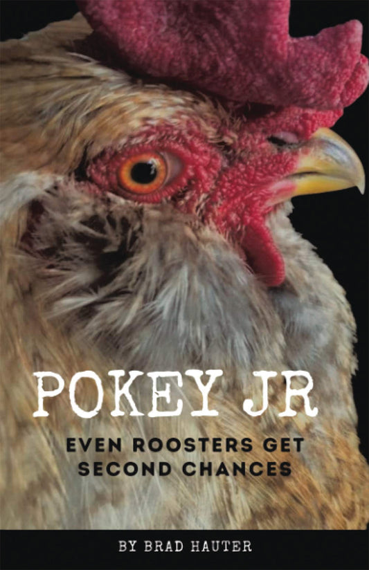 POKEY JR: EVEN ROOSTERS GET SECOND CHANCES